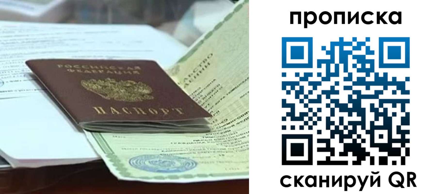 прописка ребенка в Мончегорске
